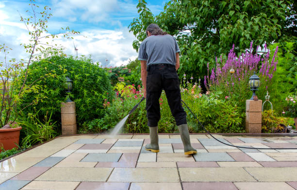 Best Winterizing Services  in Stillwater, MN